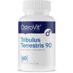 Tribulus terrestris