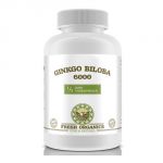 Ginkgo Biloba