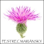 pestrec mariánsky