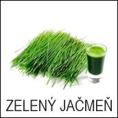 zelený jačmeň