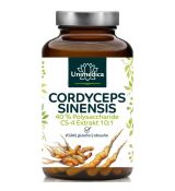 Cordyceps CS-4 extrakt 650 mg 90 kapsúl